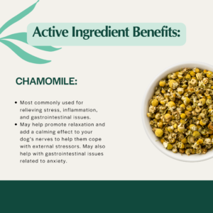 Chamomile-2 stress