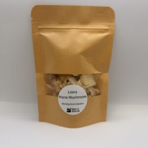 Alamo Street Herbals Lion's Mane Mushroom bulk herb